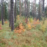 Lägenhet Meyer *