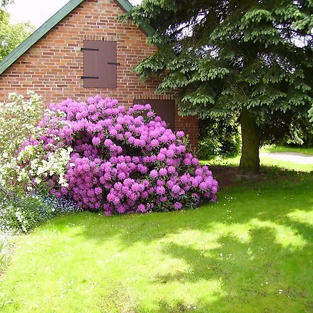 Appartement Meyer Nahrendorf