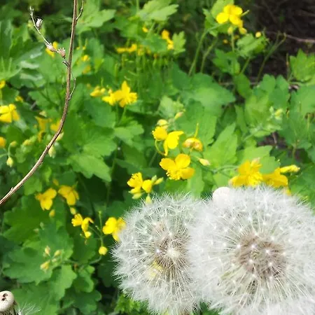 Appartement Meyer Nahrendorf